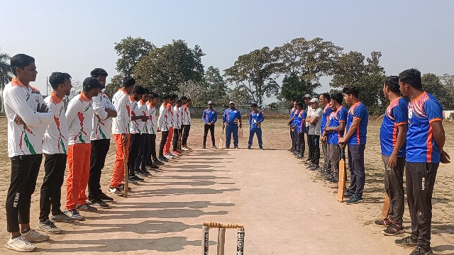 Cricket
